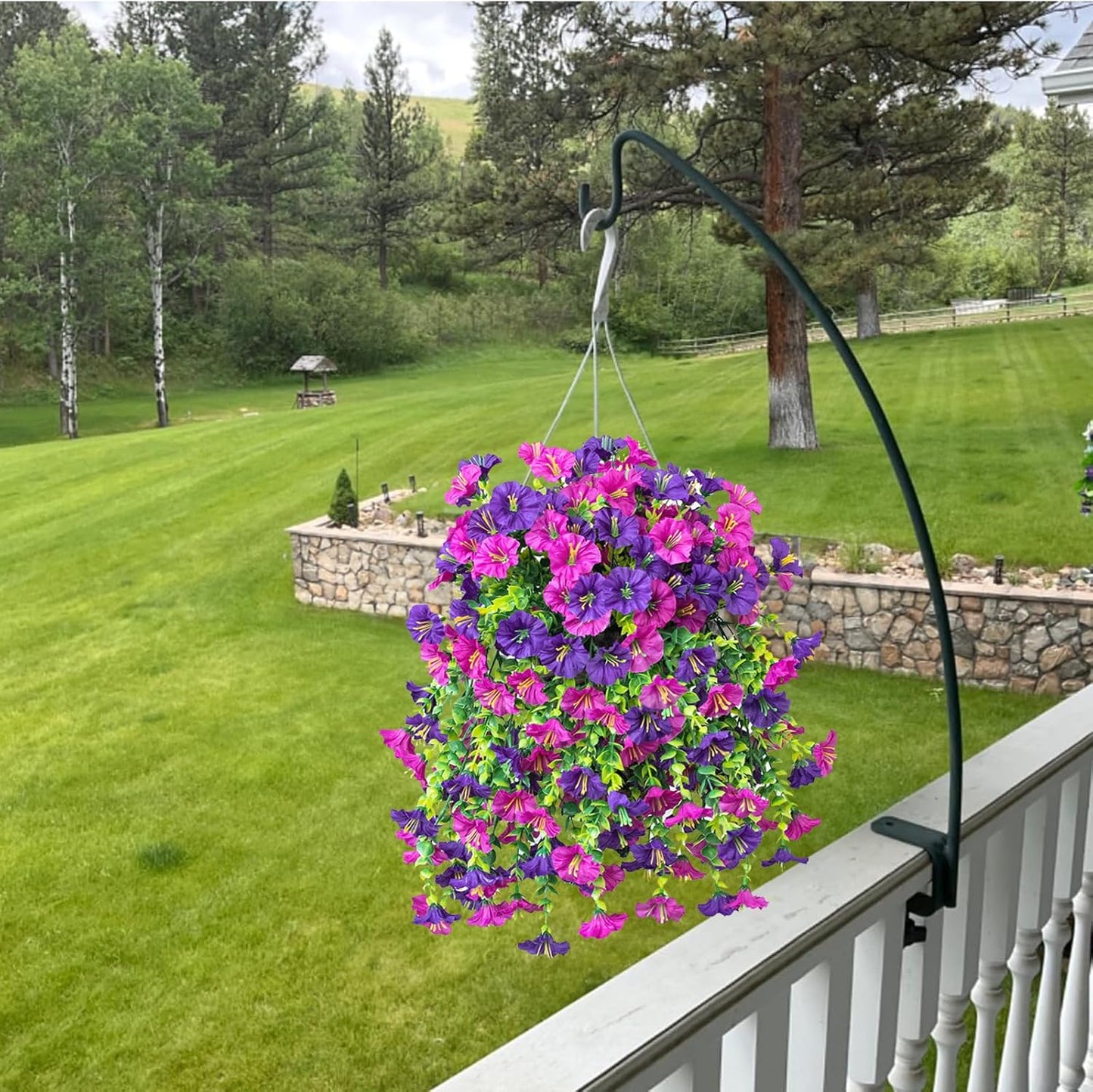 🌺 Verandans nya stjärna – Morgonstjärnan! 🌺🏡