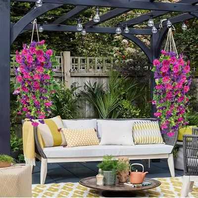 🌺 Verandans nya stjärna – Morgonstjärnan! 🌺🏡
