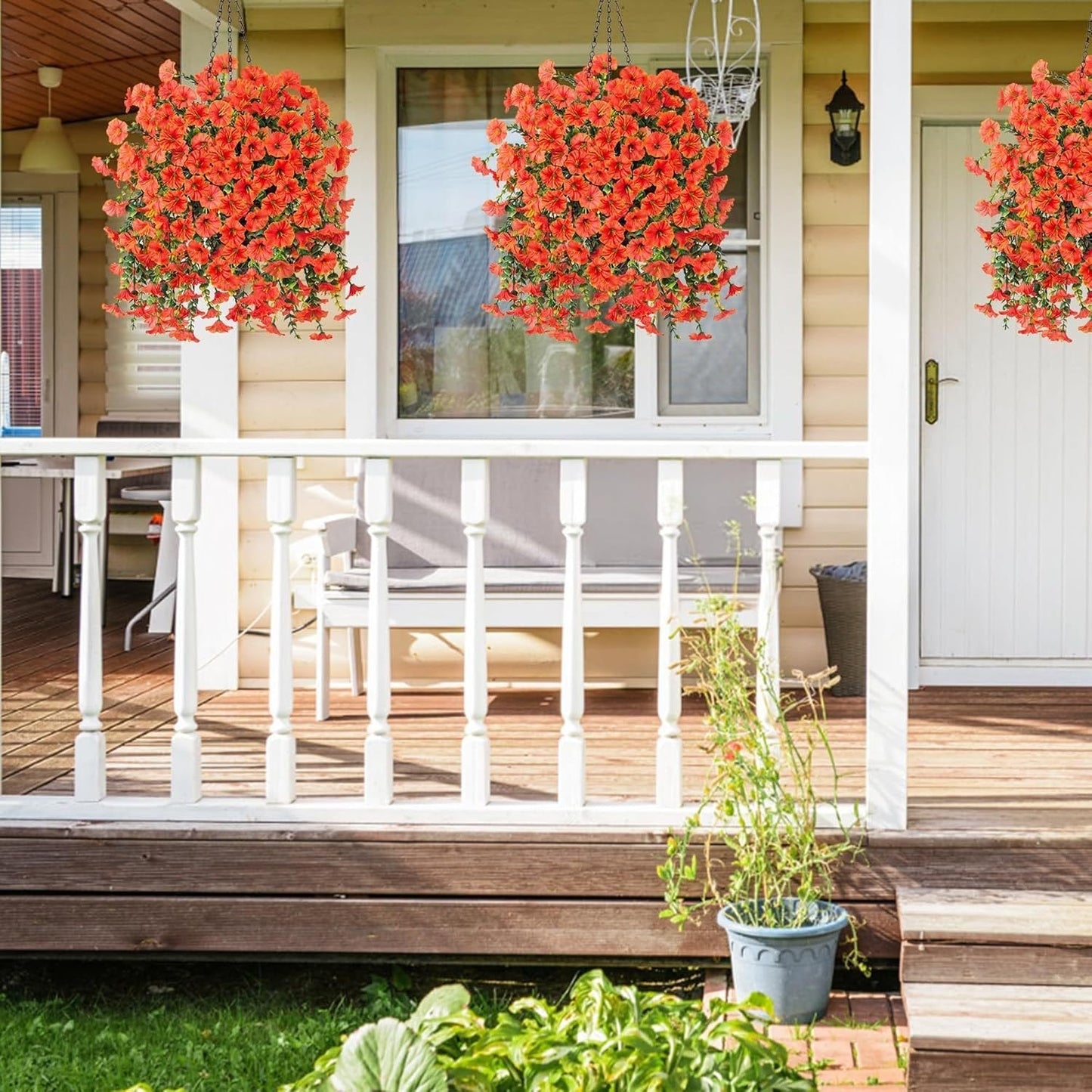 🌺 Verandans nya stjärna – Morgonstjärnan! 🌺🏡