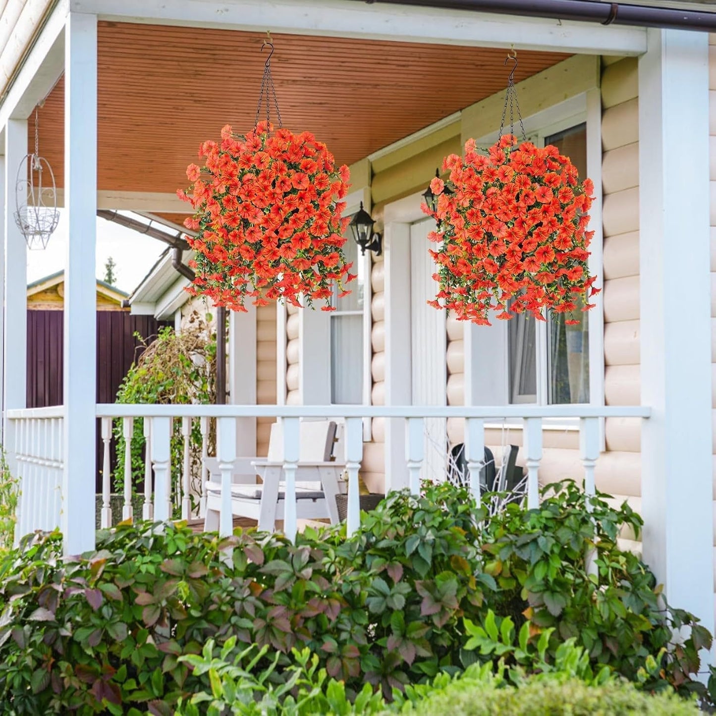 🌺 Verandans nya stjärna – Morgonstjärnan! 🌺🏡